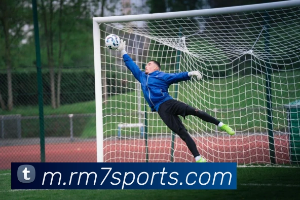 球赛投注平台生态图